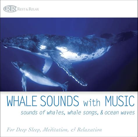 Whale Sounds With Music Sounds Of Whales Whale Songs Ocean Waves