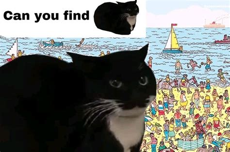 Can You Find Meme Subido Por MarioJRG2 Memedroid