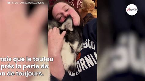 Ce chien en deuil reçoit une magnifique surprise en quelques secondes