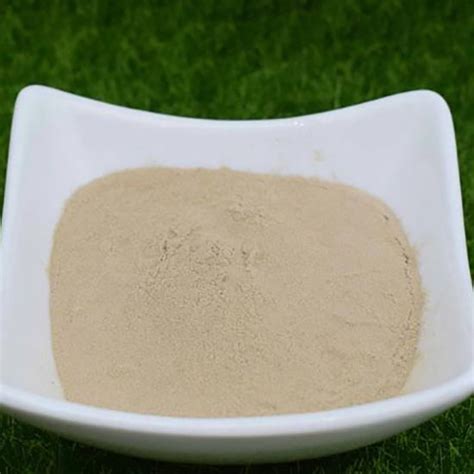 Wholesale Magnesium Amino Acid Chelate Manufacturer And Supplier