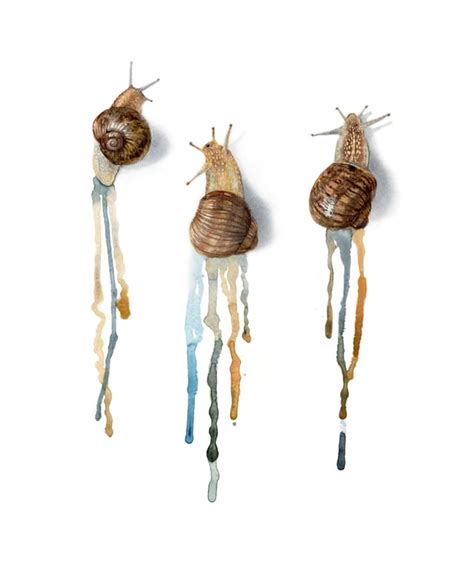 The Feat Of 3 Snails Watercolor