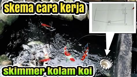 Video Skema Cara Kerja Skimmer Kolam Koi Youtube