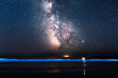 Mar de ardora qué es y playas bioluminiscentes en España Descúbrelo