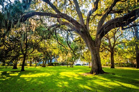 10 Most Popular Neighbourhoods in Savannah - Where to Stay in Savannah