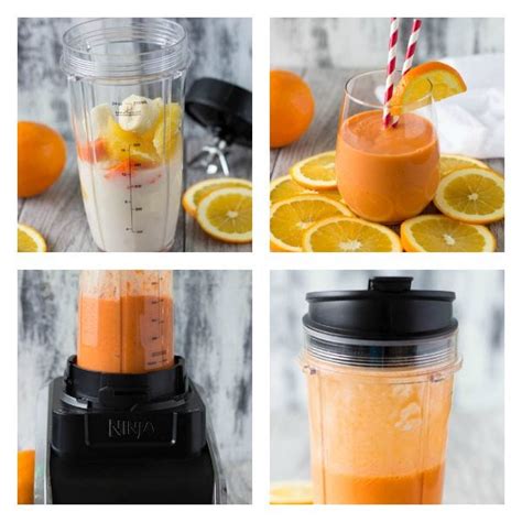 Ninja Blender Fruit Smoothie Recipes Dandk Organizer