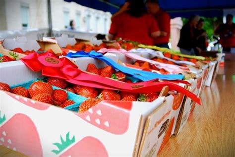 Stilwell Strawberry Festival 2023 | Green Country Oklahoma | Official Site