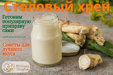 Приправа из хрена: 8 вариантов приготовления