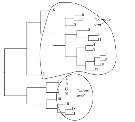 Hierarchical Cluster Analysis HCA Diagram For The Examples In Figure