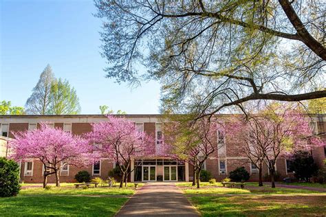 Sweet Briar College receives a $5 million lead gift to renovate its ...