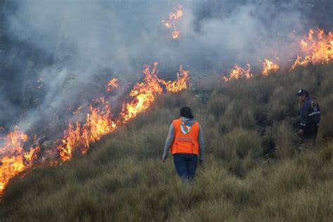 Indeci Entre Julio Y Agosto Se Han Reportado 142 Incendios Forestales