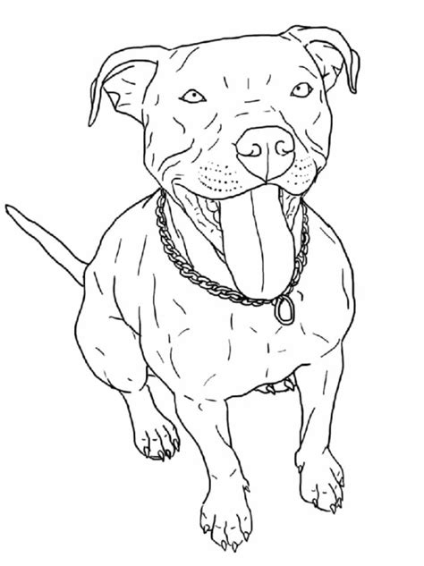 Pitbull Coloring Pages Printable For Free Download