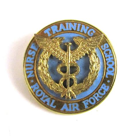 Royal Air Force Nurse Training School Badge - Jeremy Tenniswood Militaria