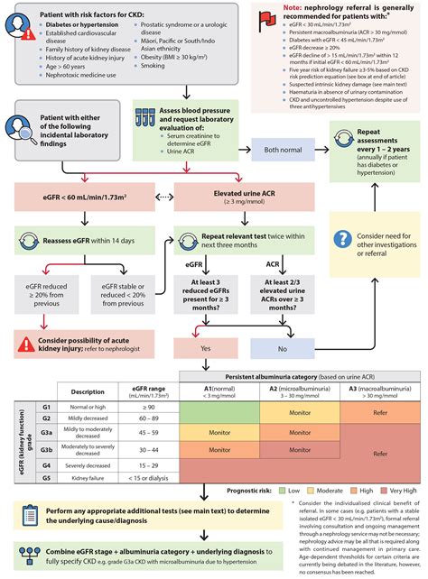 Screening For And Management Of Chronic Kidney Disease, 52% OFF