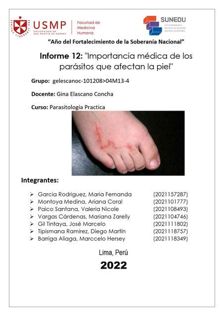 Informe Importancia Medica de los Parásitos que Afectan la Piel