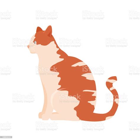 Ginger Cat Sitting Flat Cartoon Vector Illustration向量圖形及更多薑黃色的貓圖片 Istock