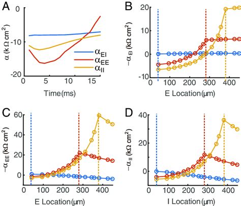 Spatiotemporal properties of the integration coefficients. (A) α EE , α ... 