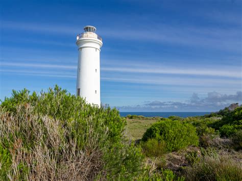 Port Stephens Lighthouse On Fingal Island Stock Photo - Download Image Now - 1862, Australia ...