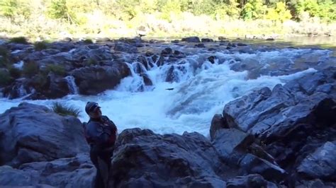 Rogue River Salmon Headed Upstream At Rainie Falls Fishing The Rogue