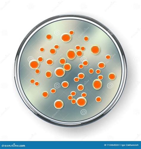 Bacteria Colonies On Petri Dishes On White Background 3d Rendering