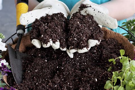 Can You Reuse Potting Soil What You Need To Know Taskrabbit Blog