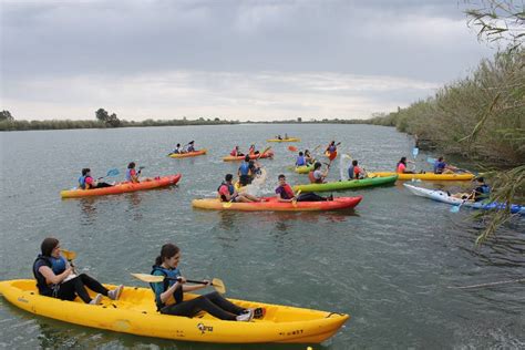 Ruta Migjorn En Kayak Por El Delta Del Ebro Riu A L Ebre