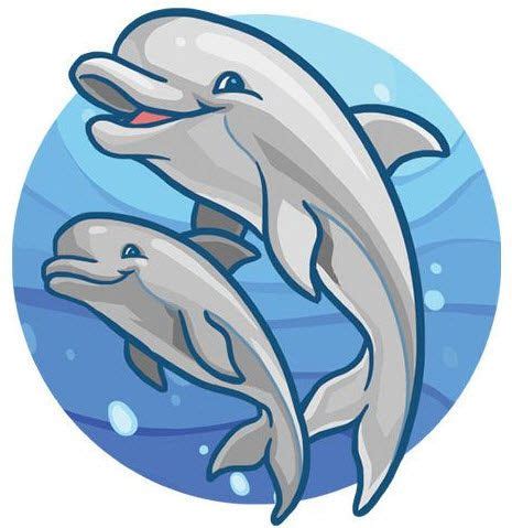 Dolphin Tattoo Design Royalty Free Vector Image Hot Sex Picture