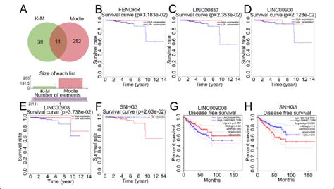 The Venn diagram of module lncRNAs and lncRNAs with statistical ...