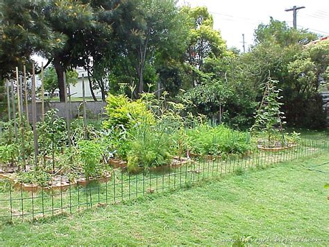 Vegetable Garden Wallpaper Wallpapers Gallery