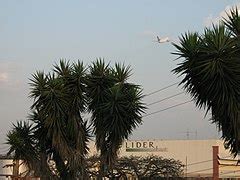 Category Campo Belo S O Paulo Wikimedia Commons