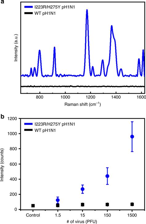 Sers Based Detection Of I R H Y Ph N Using A A Sers Spectra Of