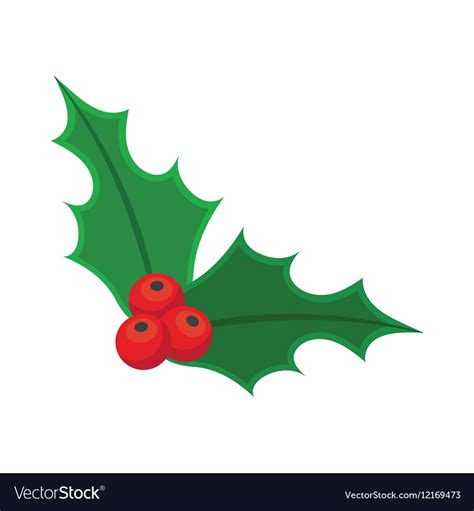 Holly berry christmas Royalty Free Vector Image