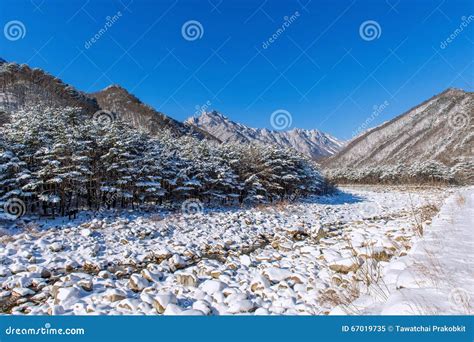 Seoraksan Mountains Is Covered By Snow In Winter Korea Stock Image