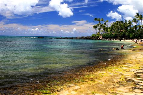 🔥 [50+] Hawaii Island Wallpapers | WallpaperSafari