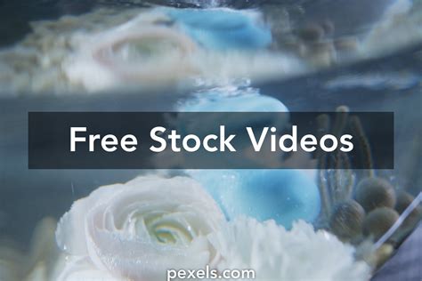 Sexual Purity Videos Download The Best Free 4k Stock Video Footage