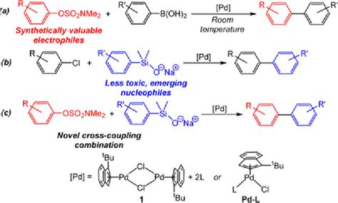 Figure 1 From Pd Catalyzed Suzuki Miyaura And Hiyama Denmark Couplings