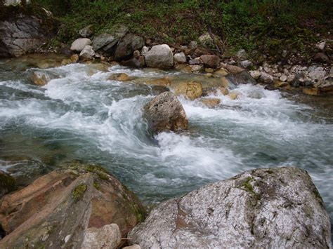 Triveneti Pesca 2013 Valli Del Pasubio Torrente Leogra Flickr