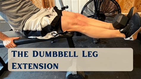 Home Quad Workout Leg Extensions Discounted Order