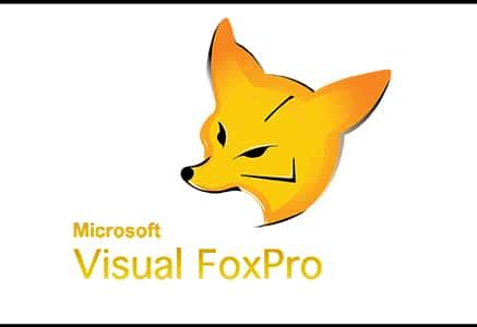 visual foxpro support foxpro maintenance