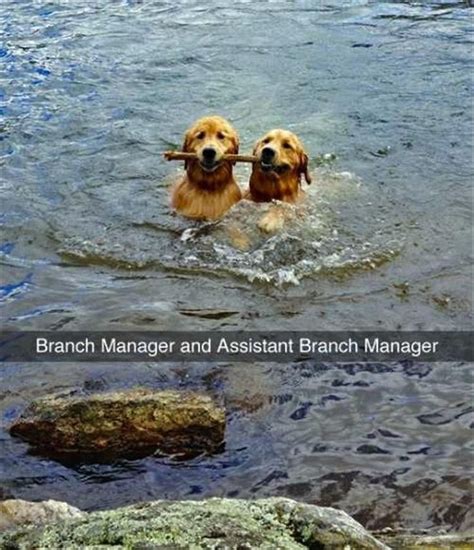 Branch Manager And Assistant Branch Manager Meme By Schizoidman Memedroid