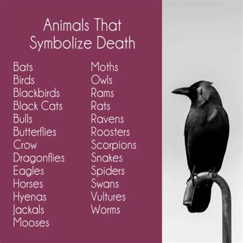 Animals That Symbolize Death