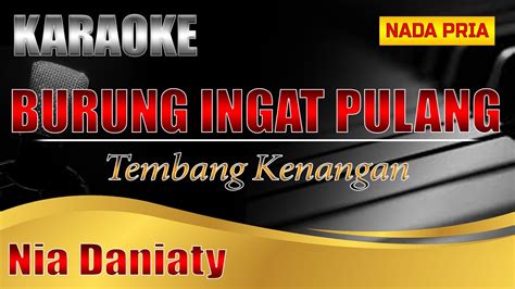 BURUNG INGAT PULANG Karaoke Nia Daniaty Karaoke Nada Pria YouTube