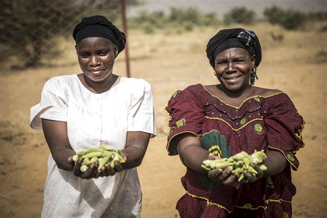 Ferme Agricole Gao La Minusma Accompagne Les Flickr