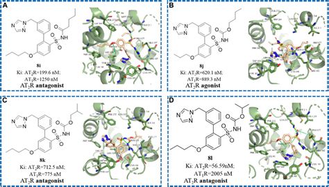 Frontiers Design Synthesis And Biological Evaluation Of Novel