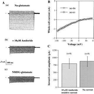 A Whole Cell Currents Recorded From Renac Expressing Mdck Cells Using