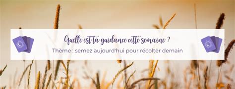 Ton Message De Guidance Pour La Semaine Du Juillet Au Ao T My