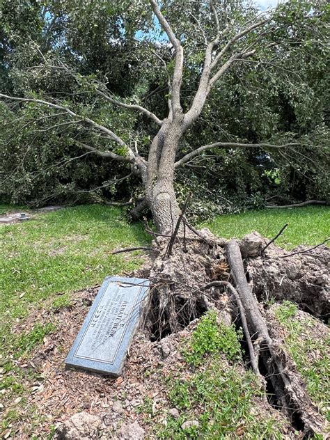 Comprehensive Directory of Cemeteries in Houston, Texas 16