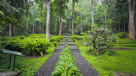 Bali Botanic Garden - Indonesia's Largest Botanic Garden Containing The ...