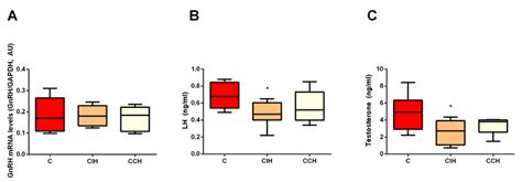 Intermittent Exposure To Hypoxia For Days Decreased Lh And