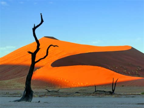 Sossusvlei Only Where You Have Walked Have You Been