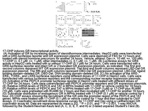 APExBIO - 17-Hydroxyprogesterone | CAS# 68-96-2